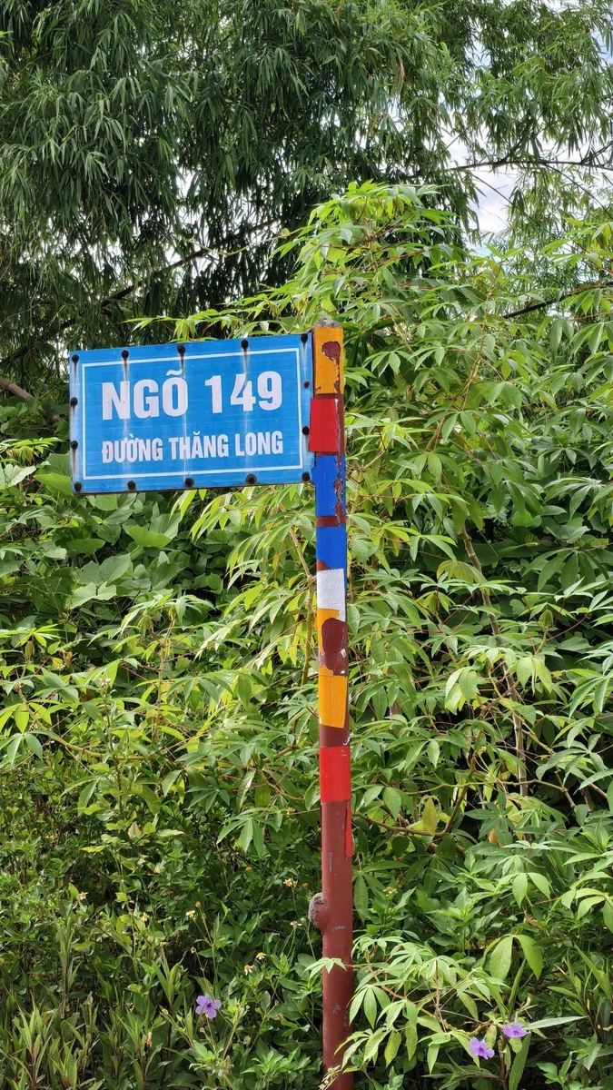 Bán đất 98,5m² sát QL1A gần Bến xe Vinh, Nghệ An - Ảnh thu nhỏ 4