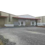 Bán đất xưởng 17.500m² Phường 5 Tân An - Ảnh thu nhỏ 3