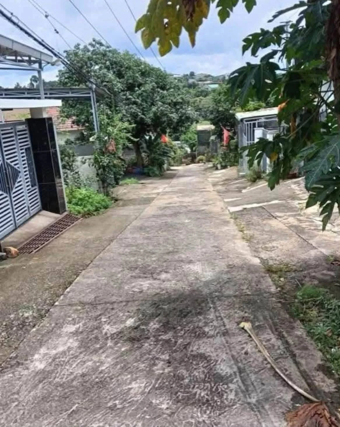 Bán nhà 2PN 192m² Nam Gia Nghĩa, Nhà Bè - Ảnh 1