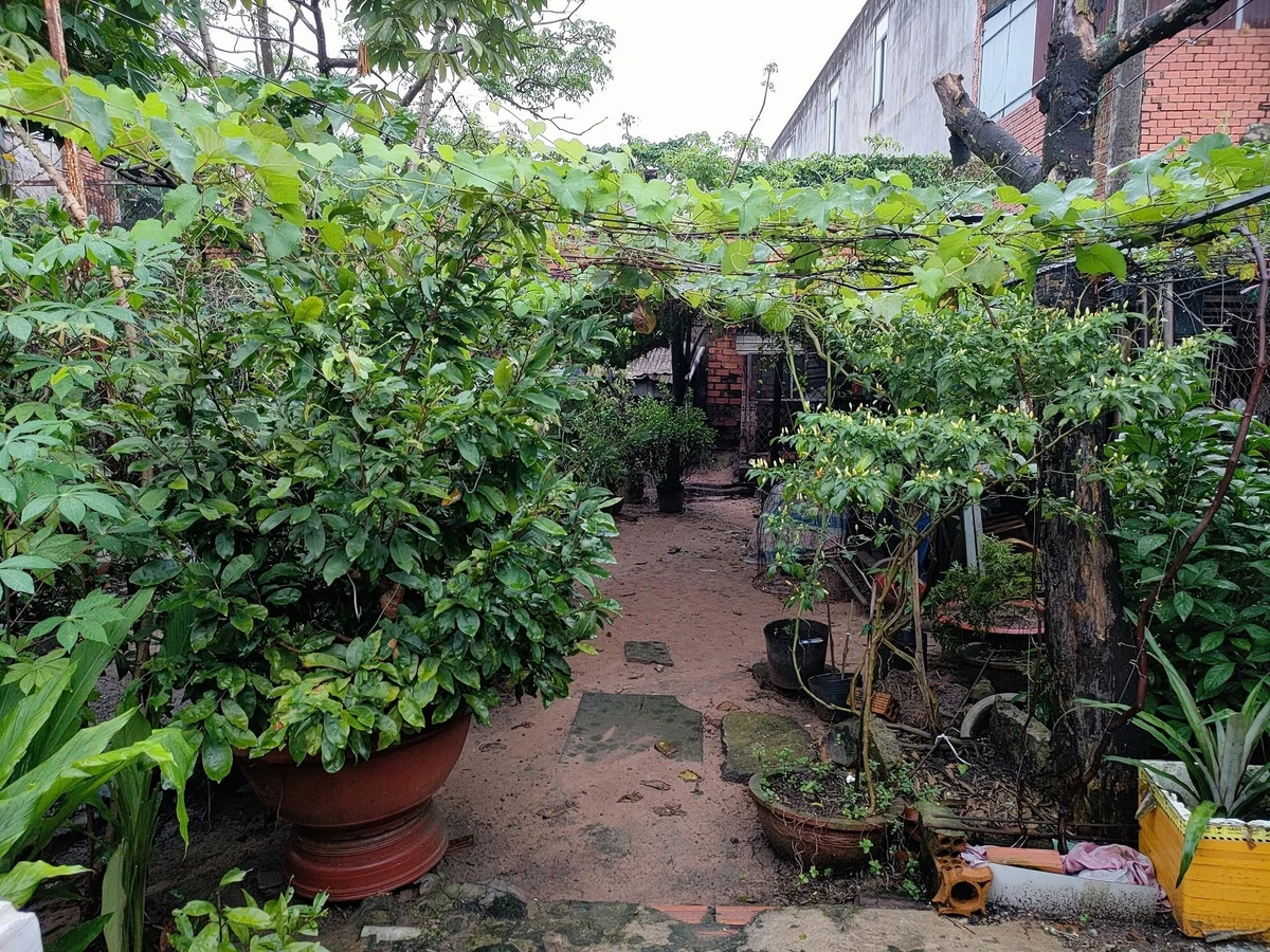 Bán đất 464 m² Bình Minh Trảng Bom Đồng Nai 4 tỷ - Ảnh thu nhỏ 4
