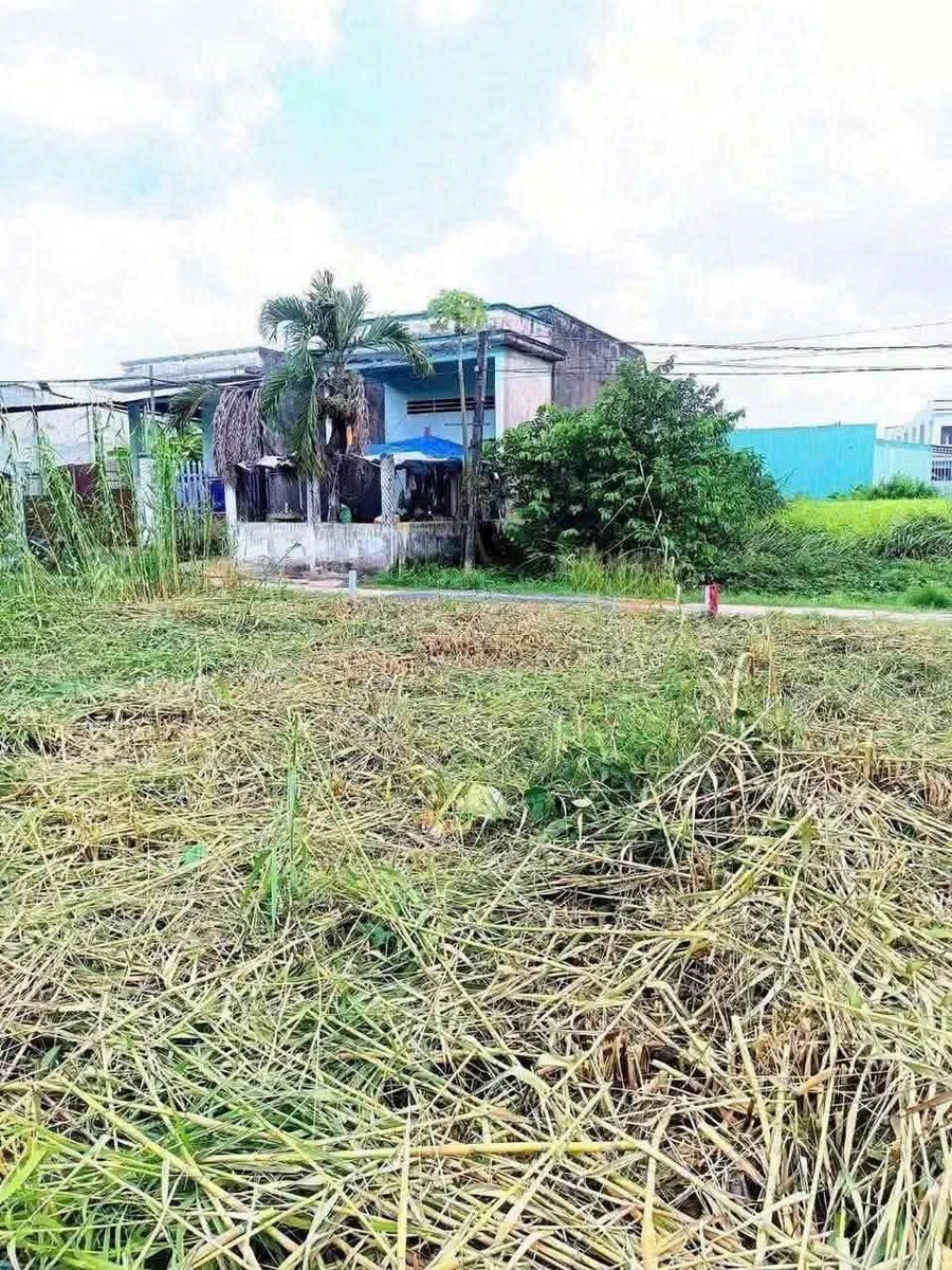 Bán đất thổ 100m² Bến Lức Tây Ninh 650 triệu - Ảnh thu nhỏ 2