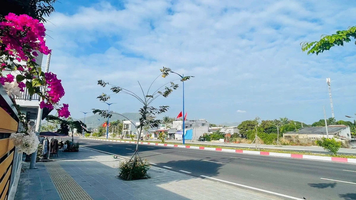 Bán đất mặt tiền 207m2 Ven Biển Bình Châu Vũng Tàu - Ảnh thu nhỏ 3