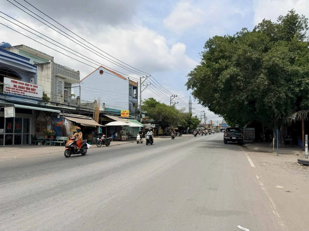 Bán 2 lô đất liền kề 100m² Bến Lức, Long An - Ảnh 1