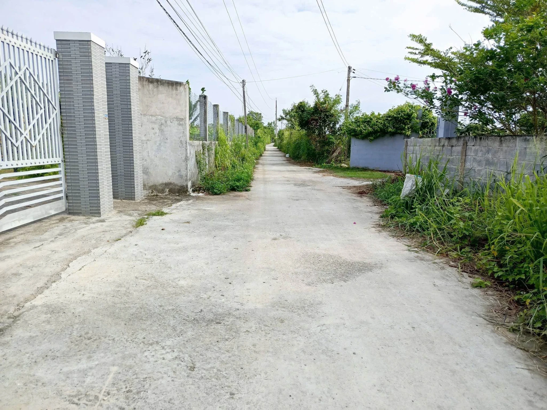 Bán đất 2.000m² Hàm Hiệp, Lâm Đồng, sổ hồng - Ảnh 1