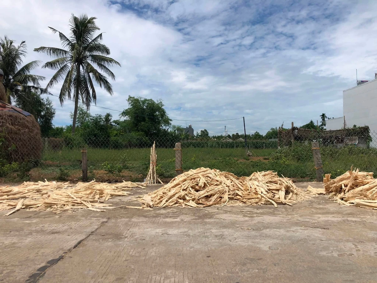 Bán đất nông nghiệp Mỹ Khê 500m2 gần biển - Ảnh thu nhỏ 3