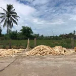 Bán đất nông nghiệp Mỹ Khê 500m2 gần biển - Ảnh thu nhỏ 3
