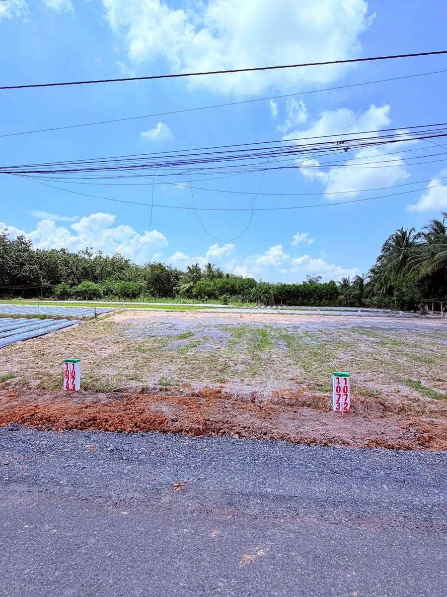 Bán đất Bình Chánh Thành Châu 50m2 390 triệu - Ảnh thu nhỏ 4