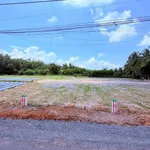 Bán đất Bình Chánh Thành Châu 50m2 390 triệu - Ảnh thu nhỏ 4