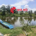 Bán đất vuông 36 công Phú Tân Cà Mau - Ảnh thu nhỏ 1