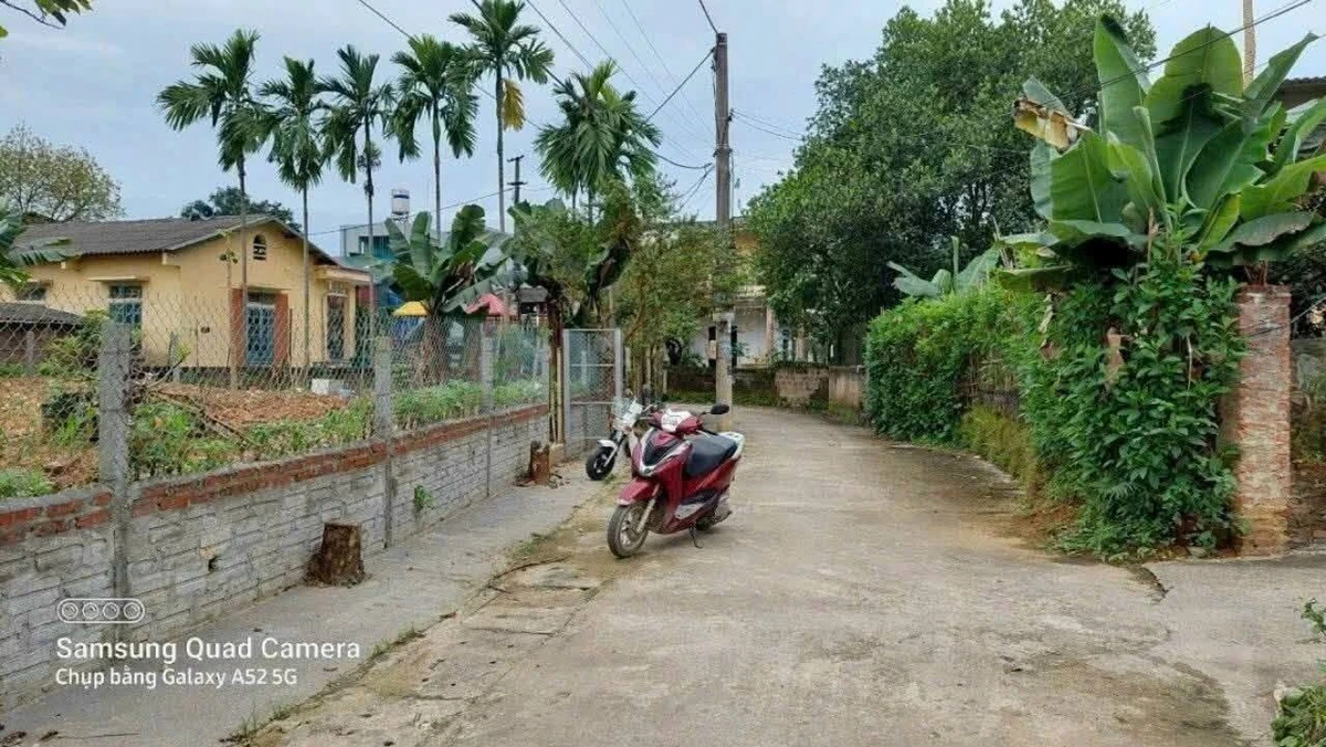 Bán lô đất 87m² cách Nguyễn Thái Học 150m, gần Vincom, 700 triệu - Ảnh 1