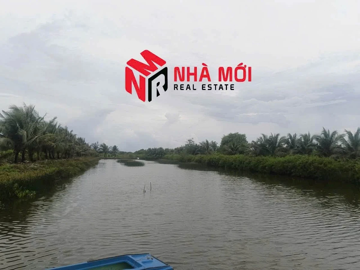 Bán đất vuông 36 công Phú Tân Cà Mau - Ảnh thu nhỏ 4
