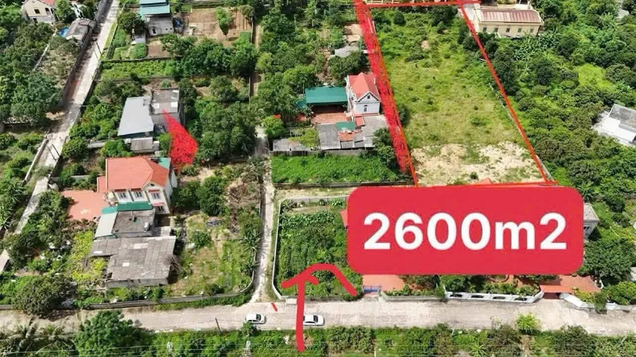 Bán đất nghỉ dưỡng 2600m² Côn Sơn Kiếp Bạc 3 tỷ - Ảnh 1