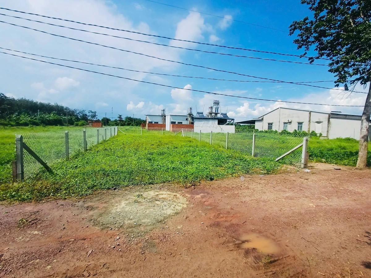 Bán đất Bàu Đồn Tây Ninh 220m² sổ hồng riêng 540 triệu - Ảnh thu nhỏ 4