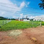 Bán đất Bàu Đồn Tây Ninh 220m² sổ hồng riêng 540 triệu - Ảnh thu nhỏ 4