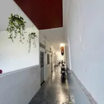 Dãy trọ 8 phòng 144m² Lò Lu giá 6,96 tỷ - Ảnh thu nhỏ 2