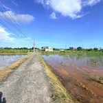 Bán 3 lô đất liền kề Kim Bình Hàm Thắng 500m2, 500 triệu/lô - Ảnh thu nhỏ 2