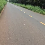 Bán 10ha đất đỏ bazan trồng cây công nghiệp, gần Đồng Xoài - Ảnh thu nhỏ 4