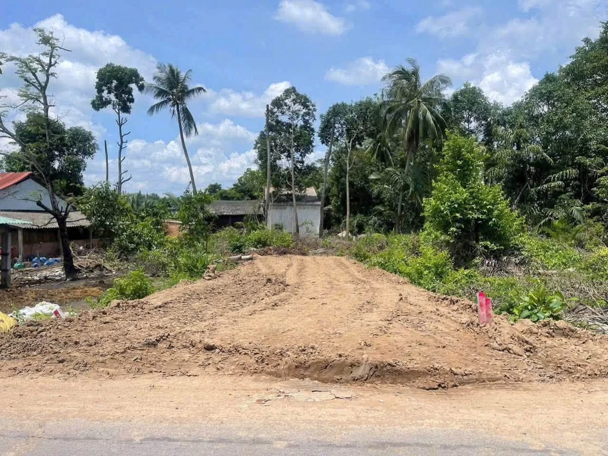 Bán đất thổ mặt tiền Lê Văn Tưởng, 176m², Tân An, Long An - Ảnh thu nhỏ 2