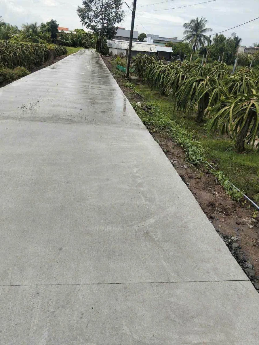 Bán đất nền mặt tiền 1.000m2 tại Bình Chánh - Ảnh thu nhỏ 3
