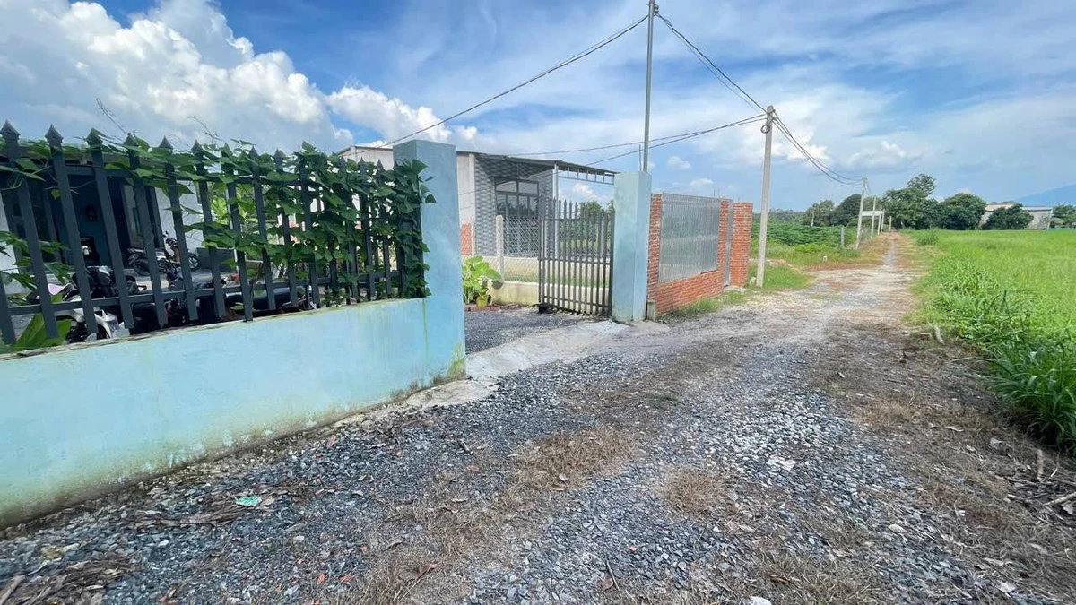 Bán đất vườn cây ăn trái Tây Ninh 600 triệu - Ảnh thu nhỏ 2