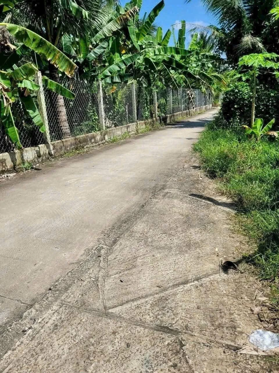 Bán đất mặt tiền hẻm 356m2 ngang 11m gần Cầu Hàm Luông, Bến Tre - Ảnh 1