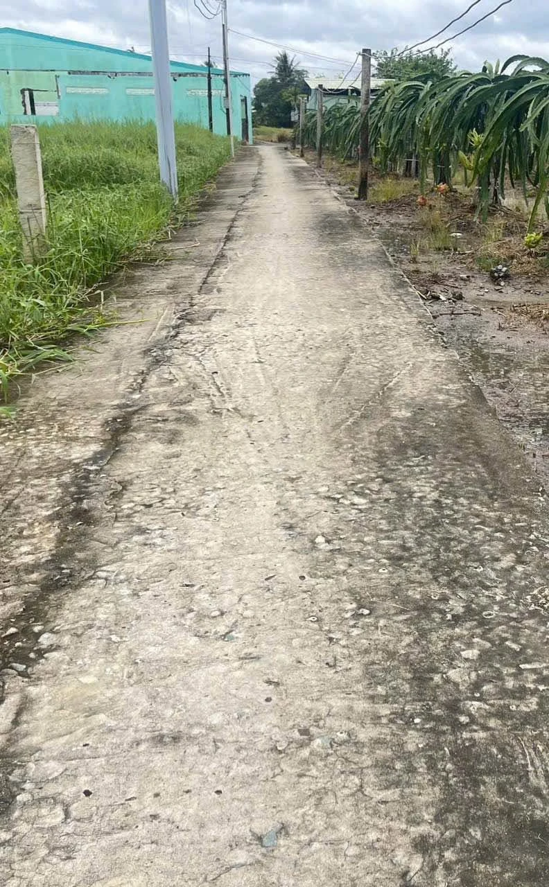Bán đất thổ cư 5x42m (208m2) giá 450 triệu tại Xã Tầm Vu, Tây Ninh - Ảnh 1