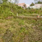Đất thổ cư hẻm 4 Bình Thủy Cần Thơ 44m2, 4 tỷ đầu tư - Ảnh thu nhỏ 3