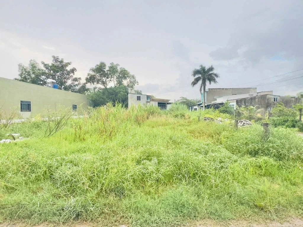 Bán đất Ấp 4 Đức Hoà Đông 177,5m² - 1 tỷ 186 triệu - Ảnh thu nhỏ 2