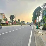 Bán đất mặt tiền Phạm Ngọc Thạch Phú Mỹ 1807m² - Ảnh thu nhỏ 4