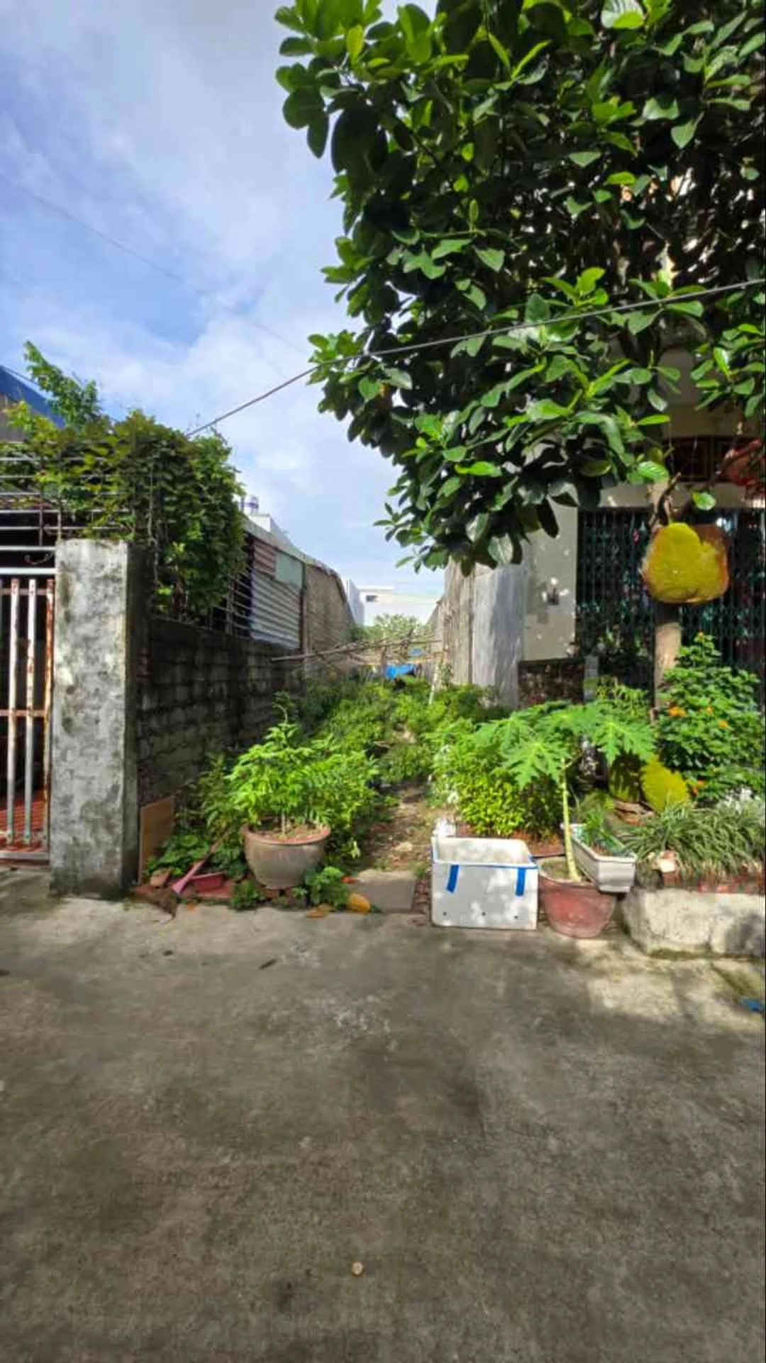 Bán đất 84m² giá 1,35 tỷ gần Đại học Hải Phòng, cách Hoàng Quốc Việt 50m - Ảnh 1