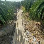 Bán đất thổ cư 650m2 giá 299 triệu tại Dương Xuân Hội, Châu Thành, Long An - Ảnh thu nhỏ 1