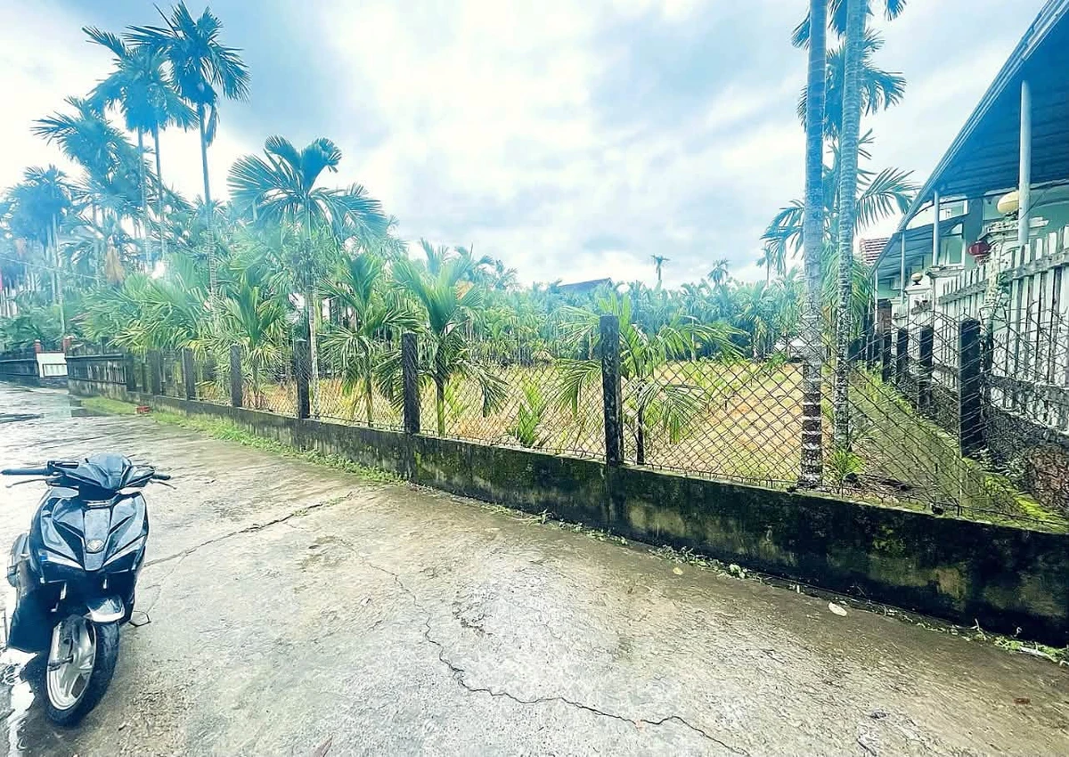 Bán lô đất 112.5m² Ba La, Nhà Bè - Ảnh thu nhỏ 2