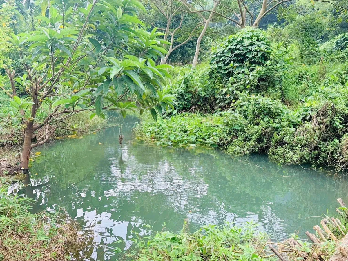 Bán đất 1160m² view núi, Đú Sáng, Kim Bôi, Hòa Bình - Ảnh thu nhỏ 5