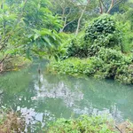 Bán đất 1160m² view núi, Đú Sáng, Kim Bôi, Hòa Bình - Ảnh thu nhỏ 5