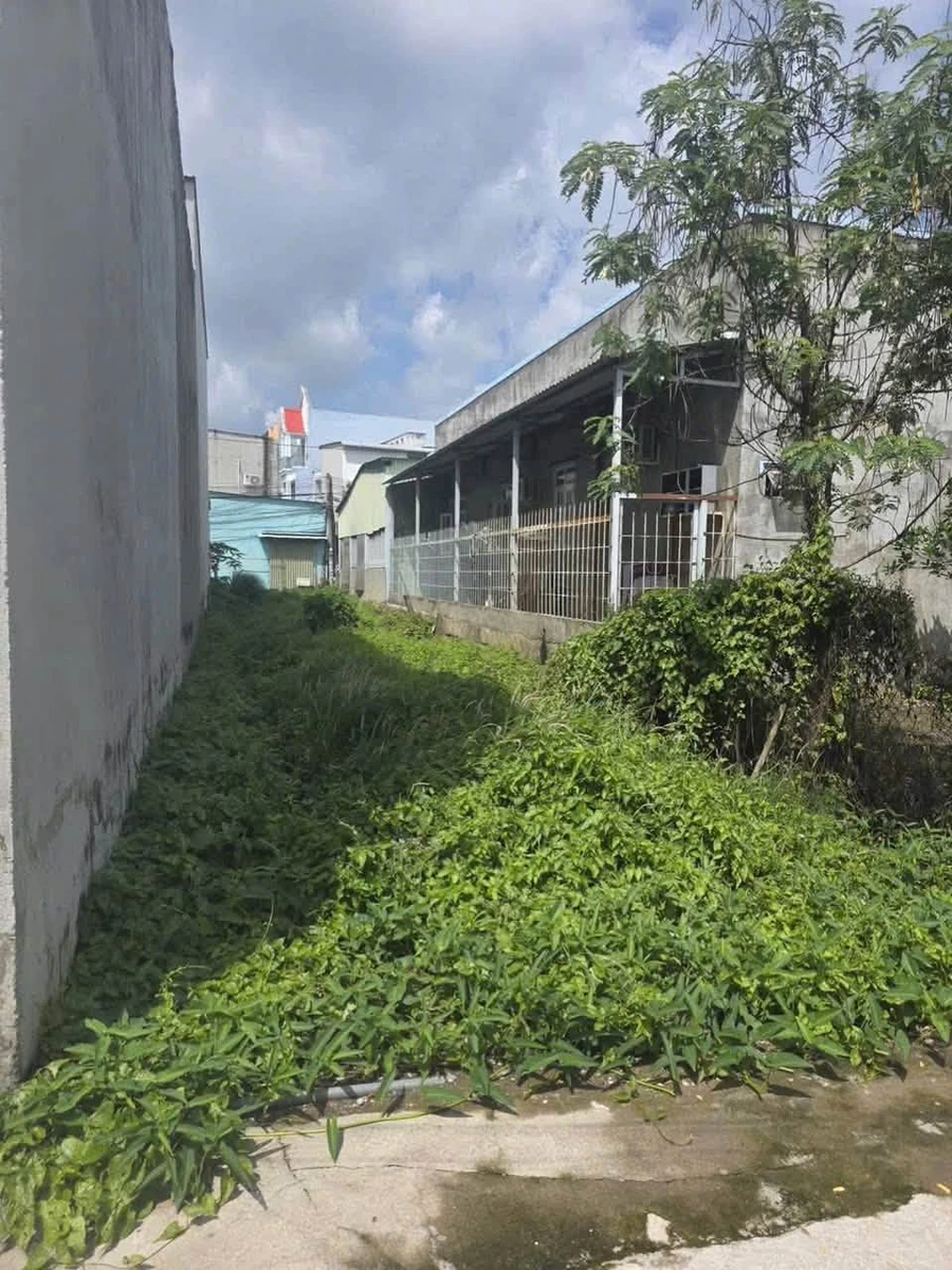 Bán đất Tân Kim Tập Đoàn 2, 80m², 1 tỷ 350 - Ảnh thu nhỏ 3
