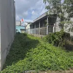 Bán đất Tân Kim Tập Đoàn 2, 80m², 1 tỷ 350 - Ảnh thu nhỏ 3