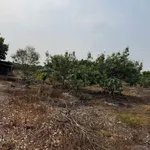 Bán đất mặt tiền Nguyễn Lương Bằng 1000 m², Tây Ninh - Ảnh thu nhỏ 3