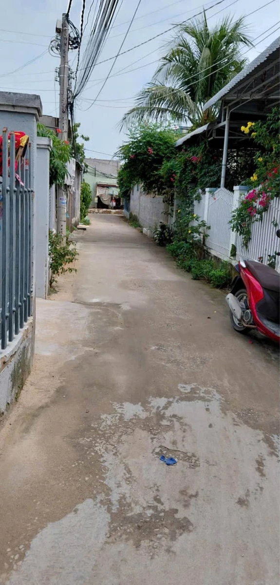 Bán lô đất 400m² (100m² thổ cư) đường Petong Thủ Đức - Ảnh thu nhỏ 2