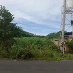 Bán đất 1.400m2 Bưng Riềng Xuyên Mộc | Gần Hồ Tràm sát rừng lý tưởng làm villa nghỉ dưỡng - Ảnh thu nhỏ 1