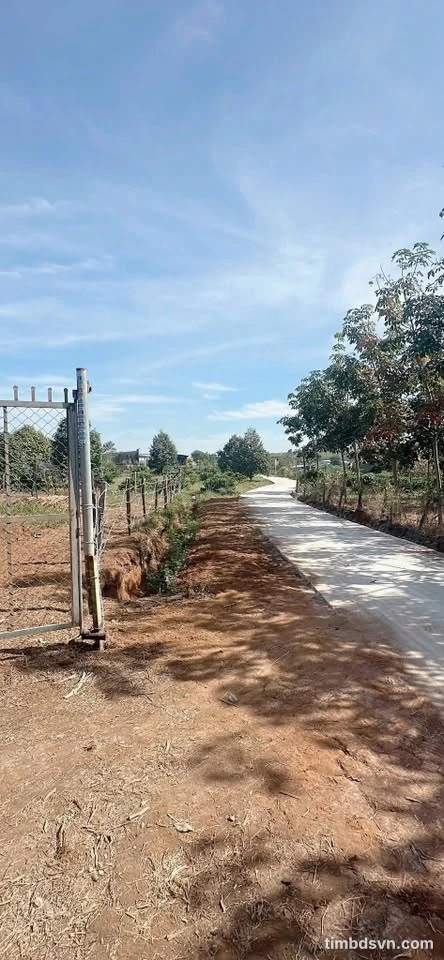 Bán lô đất sầu riêng 1ha3, Lộc Ninh, Lâm Đồng, 1 tỷ 999 triệu - Ảnh 1