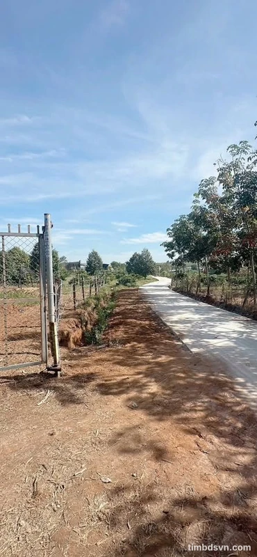 Bán lô đất sầu riêng 1ha3, Lộc Ninh, Lâm Đồng, 1 tỷ 999 triệu