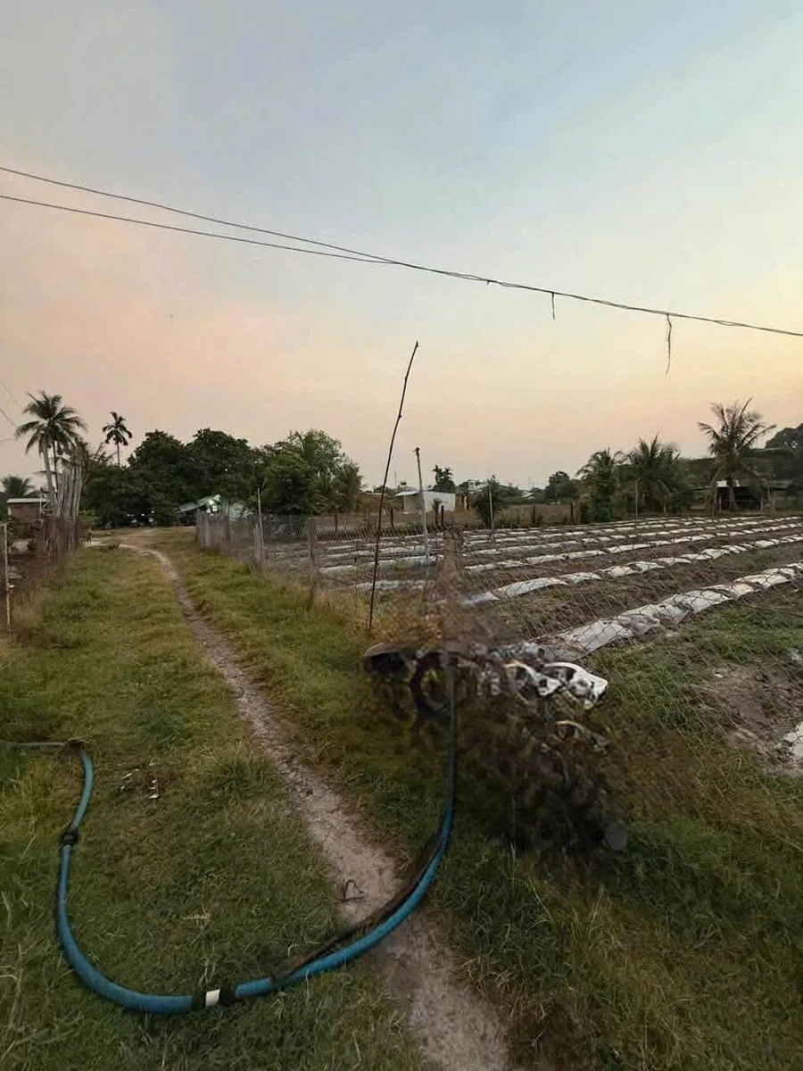 Bán 968m² đất tại Phường Ninh Thạnh, Tây Ninh, giá 1 tỷ 150 triệu - Ảnh thu nhỏ 2