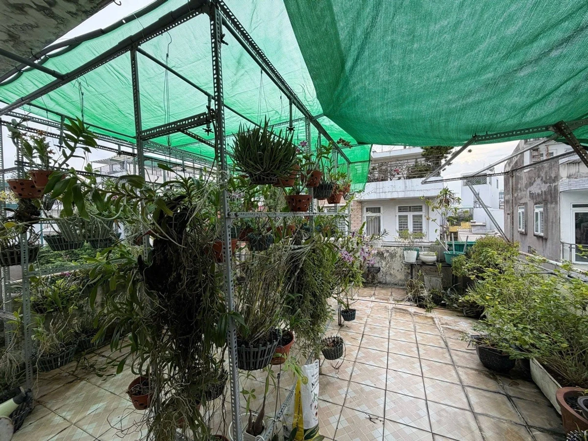 Bán nhà 4 tầng hẻm xe hơi Nguyễn Văn Đậu, 67m², 4PN, giá 8,75 tỷ - Ảnh thu nhỏ 2