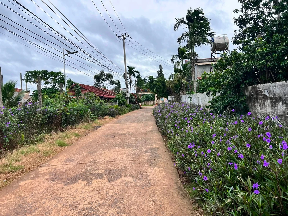 Bán đất 16x35x180m Xuân Phú Bình Chánh, 1 tỷ - Ảnh thu nhỏ 3