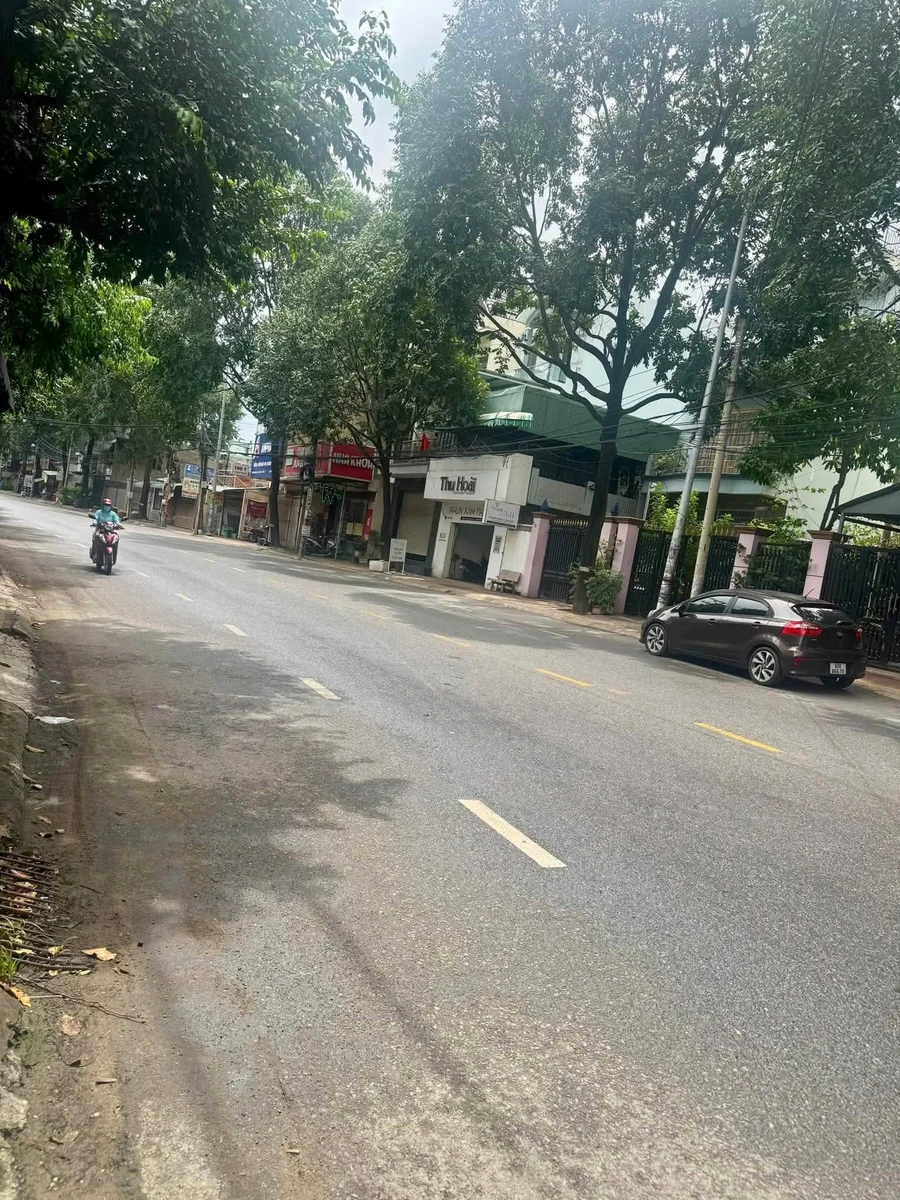 Bán nhà mặt tiền kinh doanh 12x38m Bùi Hữu Nghĩa, 14 tỷ - Ảnh thu nhỏ 3