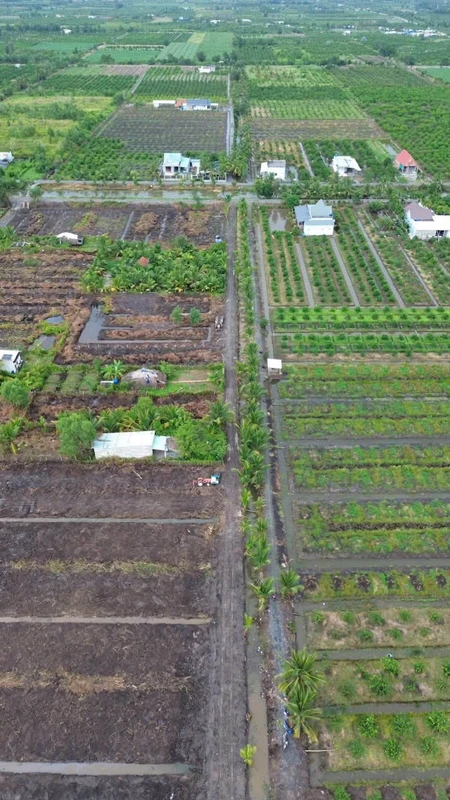 Bán đất vườn 500m² Tân Thành, Thủ Thừa, Long An