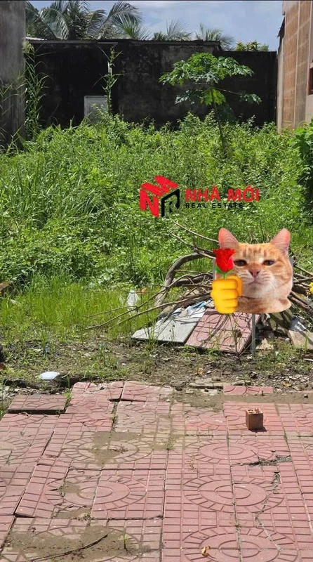 Bán nền mặt tiền Tạ Uyên, 96m², Cà Mau, 2 tỷ