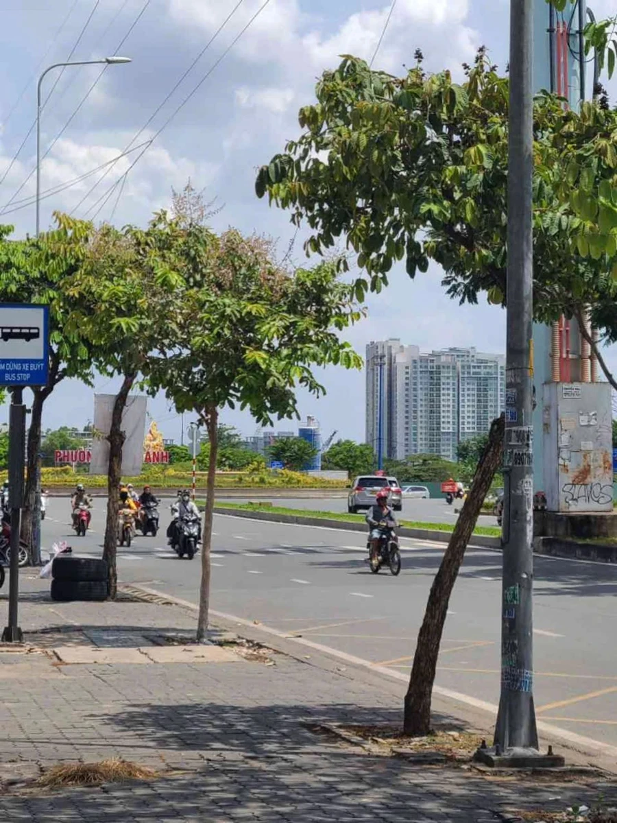 Bán nhà mặt tiền Trần Não 80m² 5 tầng, giá 35 tỷ, Quận 2 - Ảnh thu nhỏ 4