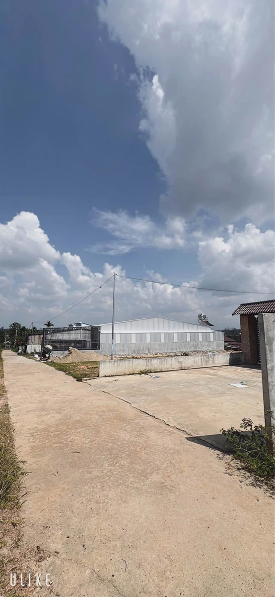 Bán đất Ea Tiêu 252m2, 650 triệu, đường bê tông 6m - Ảnh 1