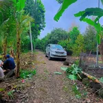 Bán 1 sào đất trái cây Phú Vinh Đồng Nai 549 triệu - Ảnh thu nhỏ 2